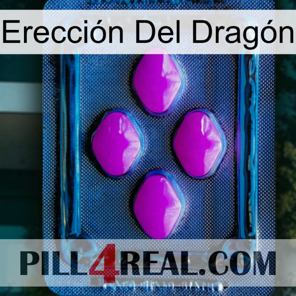 Erección Del Dragón 04.jpg